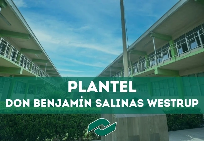 Plantel Conalep de Don Benjamín Salinas Westrup