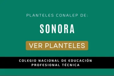 Sonora